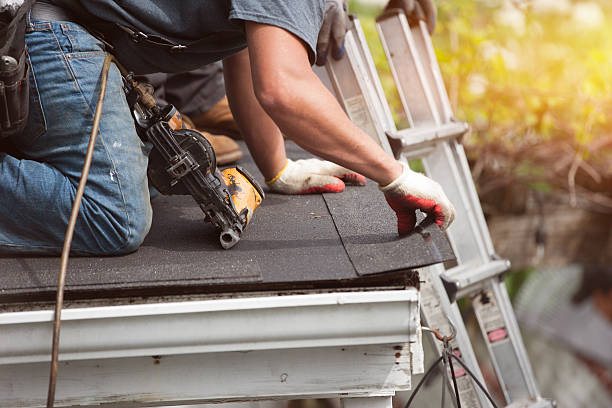 Best Roof Gutter Cleaning  in Bishop, CA
